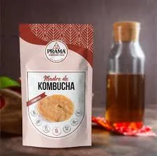 Madre de Kombucha Prama